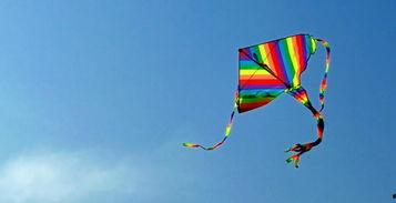 东岛风筝爆料最新消息,揭秘神秘事件背后真相